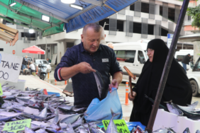 Rize'de tezgahlara inen palamudun adet fiyatı 50 ile 100 lira arasında değişiyor