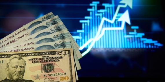Dolar/TL 49,1630 Seviyesini Görerek Tüm Zamanların En Yüksek Değerine Ulaştı